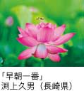 佳作「早朝一番」 渕上久男（長崎県）