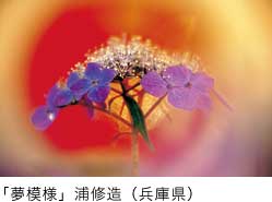特選「夢模様」浦修造（兵庫県）