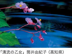 特選「清流の乙女」筒井由紀子（高知県）
