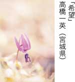 入選「希望」 高橋一英（宮城県）