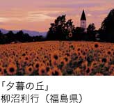 入選「夕暮の丘」 柳沼利行（福島県）