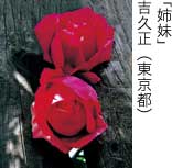 入選「姉妹」 吉久正（東京都）