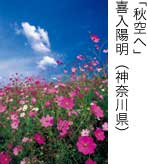 入選「秋空へ」 喜入陽明（神奈川県）