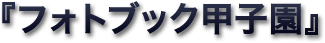 �w�t�H�g�u�b�N�b�q���x