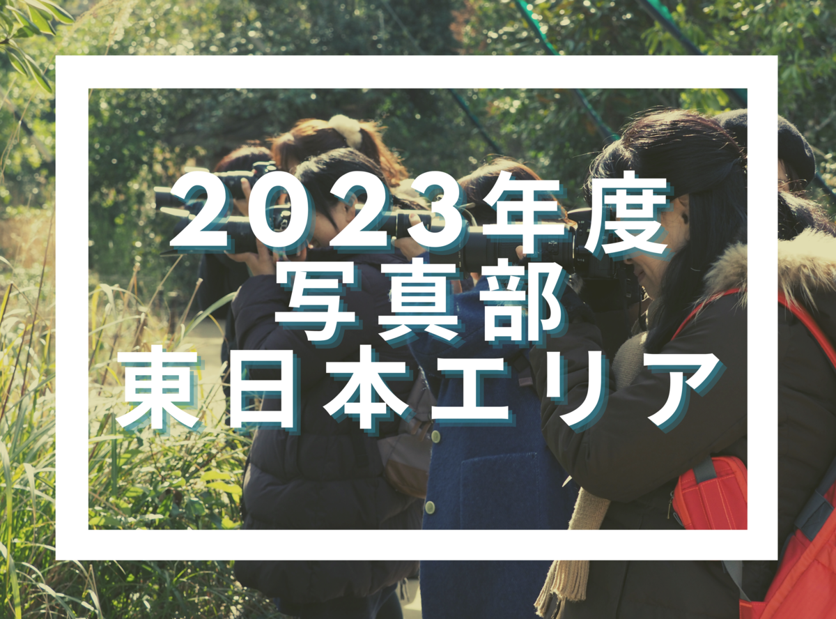 PCC写真部2023【東日本エリア】