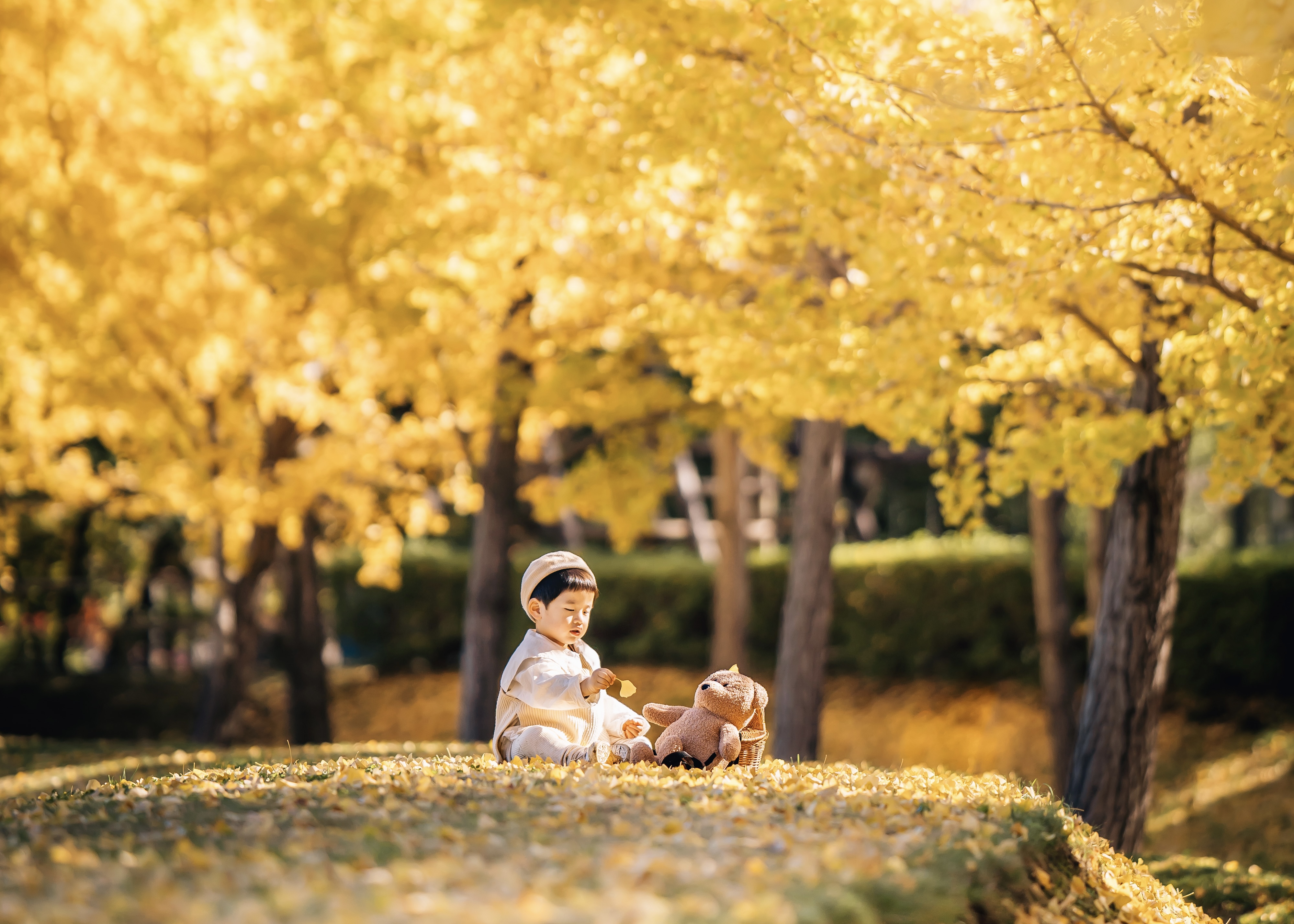 【Maki講師のオンライン講座】10/24(金)「子どもと楽しむ、季節の写真 ー紅葉編ー」 