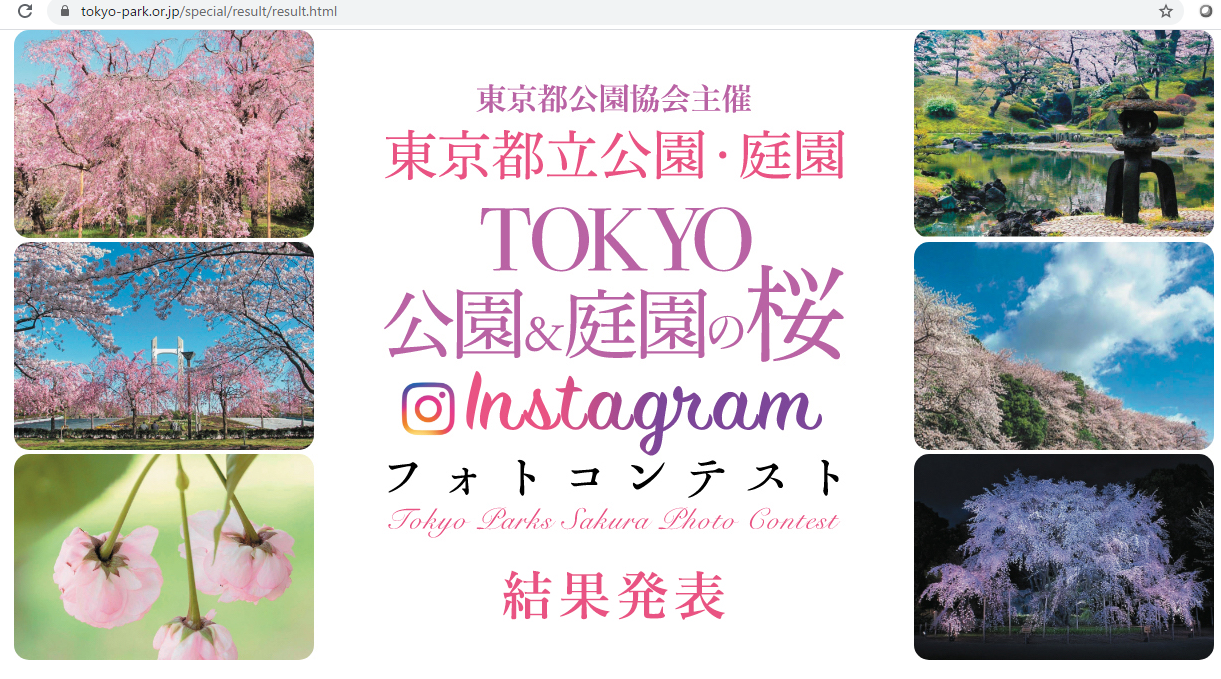 TOKYO 公園&庭園の桜 Instagramフォトコンテスト発表