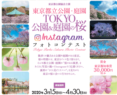 TOKYO 公園&庭園の桜 Instagramフォトコンテスト