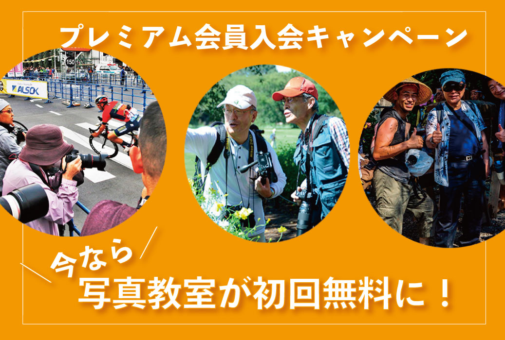 プレミアム会員がだんぜんお得!